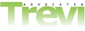 Trevi-advocaten-logo-